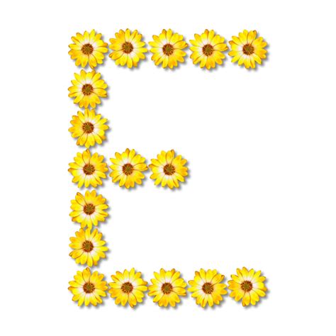 Letter E Flower Clip Art