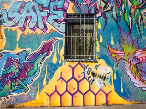 Famous California Graffiti Artists Aracelis Fortin