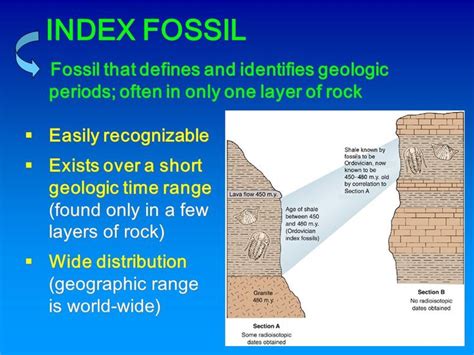 Index Fossil Earth Science Geology Earth