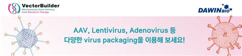 Vectorbuilder Virus Packaging Product Information