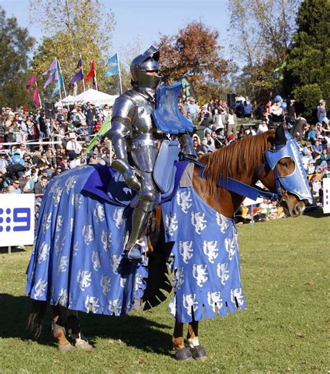 Barding Medieval Horse Medieval Knight Medieval Armor Knight On