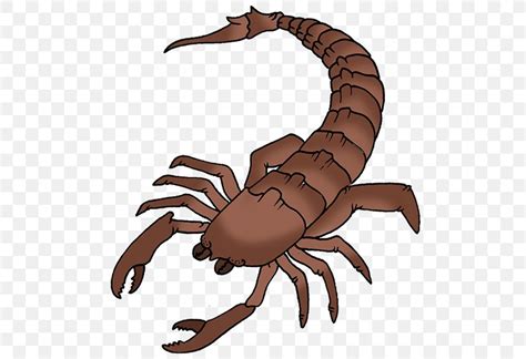 Scorpion Clip Art Png 500x561px Scorpion Arachnid Arthropod Claw