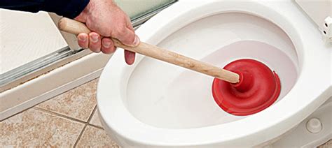 Blocked Toilet Heres How To Clear It Yourself