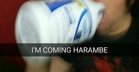 dicks out for harambe album on imgur