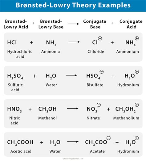Bronsted Lowry Acid And Base Examples Examquiz