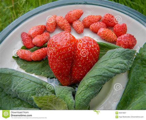 Red Strawberry In Heart Shaped Stock Image Image Of Habitat Berry