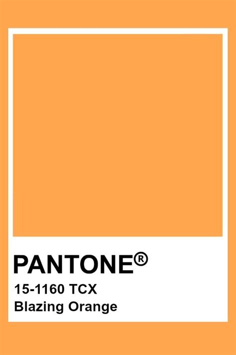 Pantone Blazing Orange Pantone Orange Pantone Colour Palettes