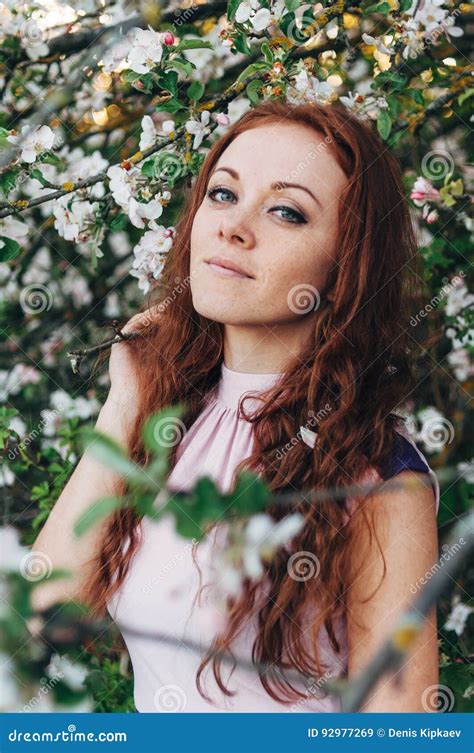 Red Haired Girl With Freckles Near The Apple Tree Stock Image Image