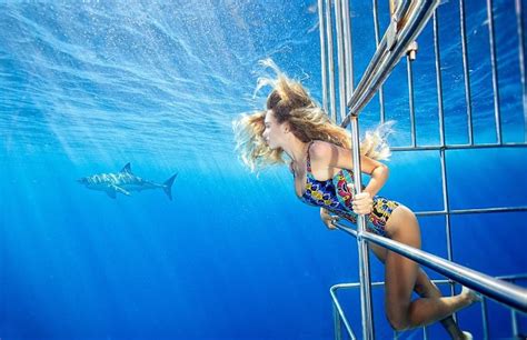 France Duque Jesse Rambis Franceduque Shark Ocean Perfect Moment Perfect Life In This