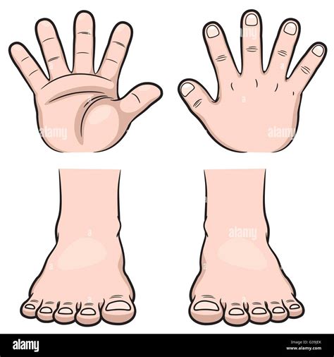 Vector Illustration Of Hands And Feet Stock Vector Image And Art Alamy