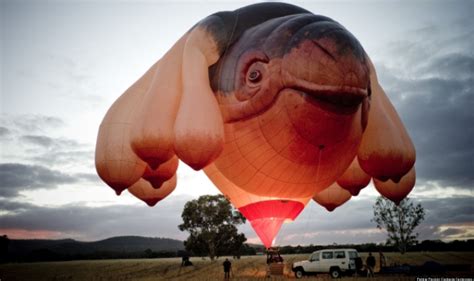 Patricia Piccininis Polarizing Hot Air Balloon Sculpture Skywhale