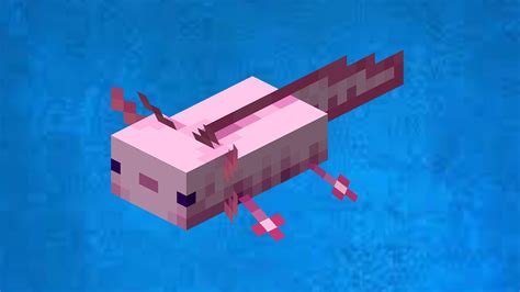 Minecraft Axolotls How To Breed And Get Them Technclub