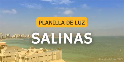 ᐅ Planilla de Luz Salinas Consultar Pagar y Descargar PDF
