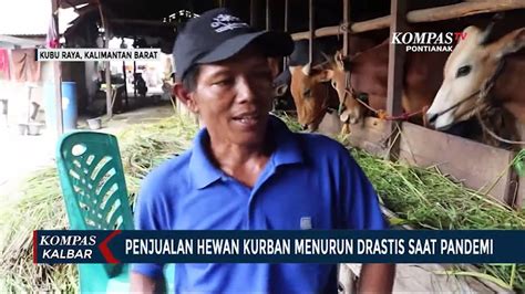 Penjual Hewan Kurban Akui Omzet Turun Saat Pandemi Video Dailymotion