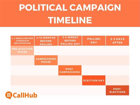Political Campaign Plan Examples Doc 45 Campaign Templates Ideas