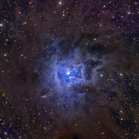Apod 2014 August 2 Ngc 7023 The Iris Nebula