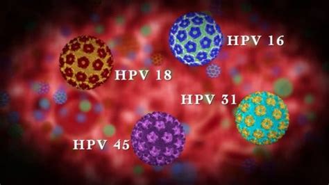 Since there is no treatment for hpv that has no symptoms. HPV Symptoms, Treatment, Vaccine, HPV in Men and Women