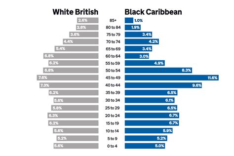 Black Caribbean Ethnic Group Facts And Figures Govuk