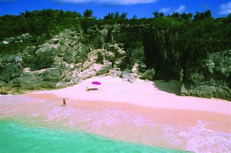 Bermuda Pink Sand Beach Nupicspro
