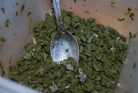 There are two main advantages of soilent green over my previous homemade gel food. Repashy Soilent Green Gel Food 500 Grams (1.1lb ...