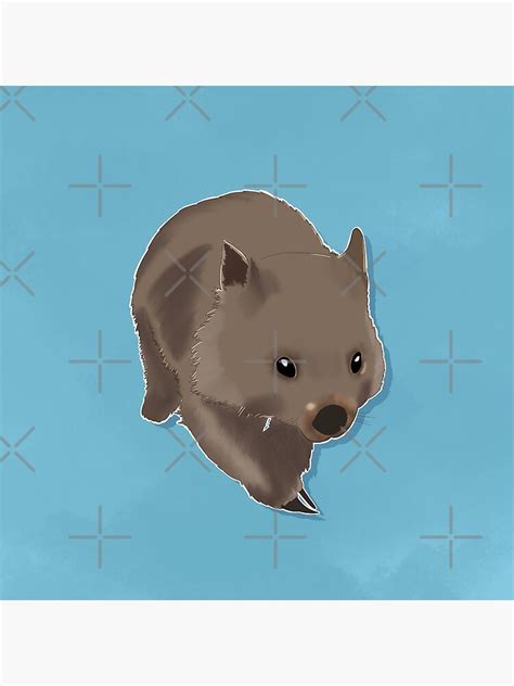 Super Cute Baby Wombat Cartoon Poster For Sale By Wwildwanderer
