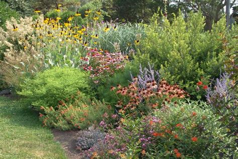 5 Benefits To Landscaping With Low Maintenance Native Plants Shifting