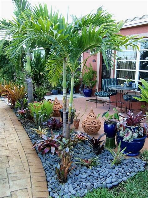 Tropical Backyard Landscaping Backyard Landscaping Designs Florida