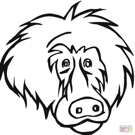 This baboon coloring pages will helps kids to focus while developing creativity, motor skills and color recognition. Baboon coloring pages download and print for free