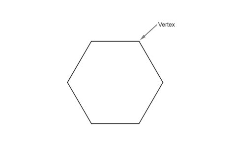 what is the name of a six sided polygon how many vertices d quizlet