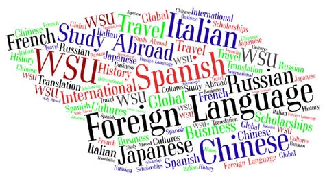 Wsu Among Top 10 Innovative Schools For Foreign Language Wsu Insider