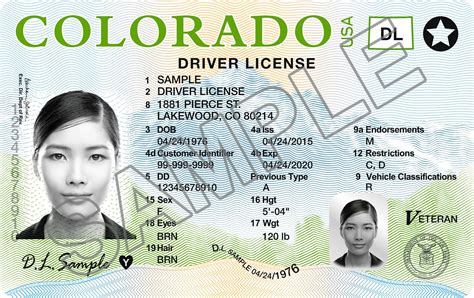 New Colorado Driver License Design Conexión Migrante