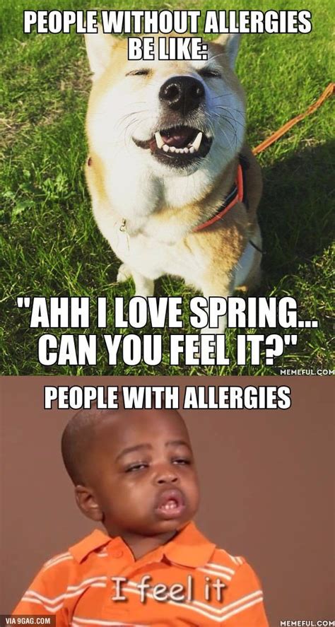 And The Allergy Season Is Upon Us Funny Memes Allergies Funny Funny