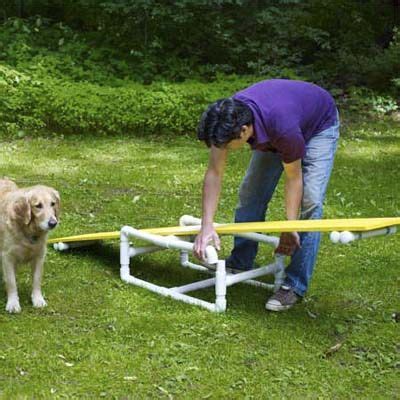 Run your dog through the obstacle with a leash saying the commands as they happen step 2: Pin on Dog Studies