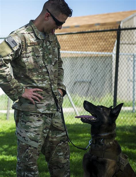 Military K 9 Unit Capabilities Forged By Respect Cannon Air Force