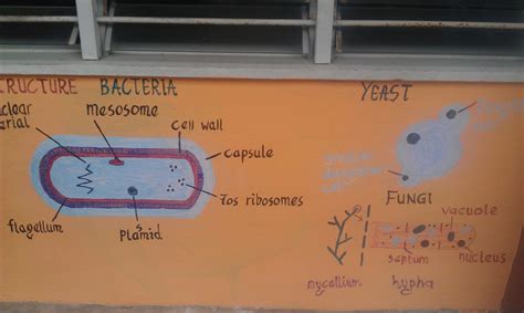 Penilaian hubungan tahap penguasaan konsepsi sains dengan tahap kemahiran proses sains guru peringkat menengah rendah. KECERIAAN MAKMAL SAINS.. | SeCuPAK SiREh