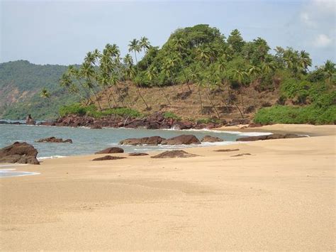 Cola Beach Goa Travel Guide Places To See Trodly