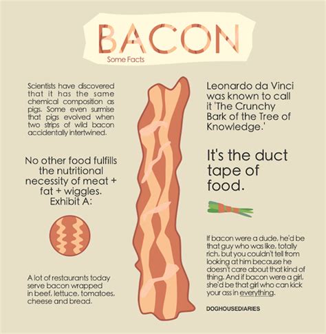 Some Facts About Bacon That May Or May Not Be True Foodiggity