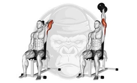The 10 Best Lateral Head Tricep Exercises 2023 Jacked Gorilla