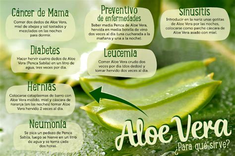 Sdb Mundo Natural Propiedades Y Beneficios Del Aloe Vera
