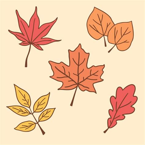 Premium Vector Hand Drawn Autumn Leaves Collection