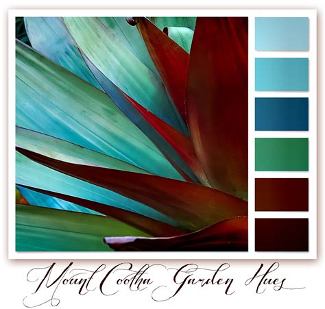 This Colour Palette Is Created From A Madagascan Plant At Mt Cootha