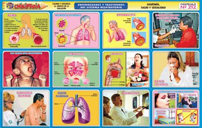 N Enfermedades Del Sistema Respiratorio