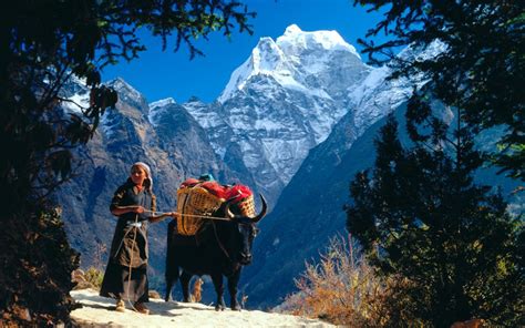 Everest Culture Trek