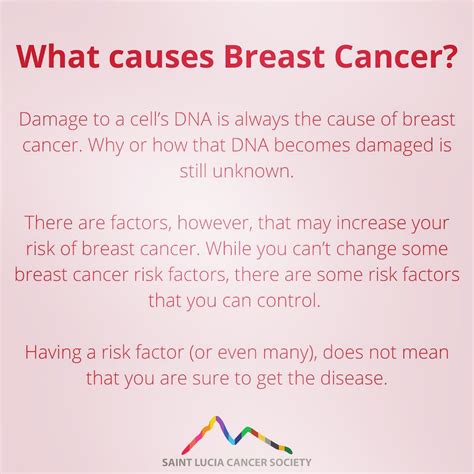 What Causes Breast Cancer Saint Lucia Cancer Society