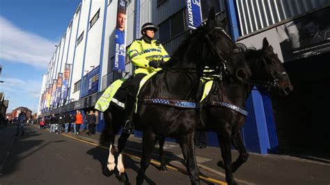 Mounted Police Boost Public Trust Report For Acpo Says Bbc News