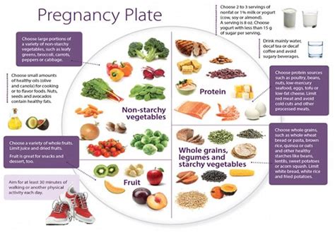 A Crash Course On What To Eat During Pregnancy