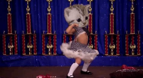 Cat Dancing Stage School Girl Body Mash Up Gif Gifdb Com