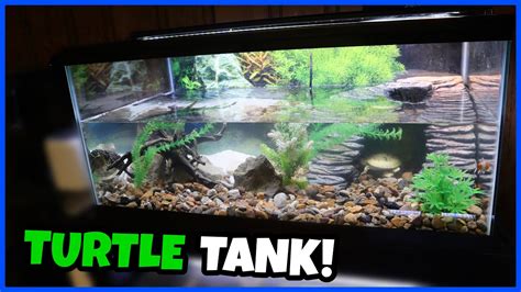 Setting Up A 40 Gallon Turtle Tank Youtube