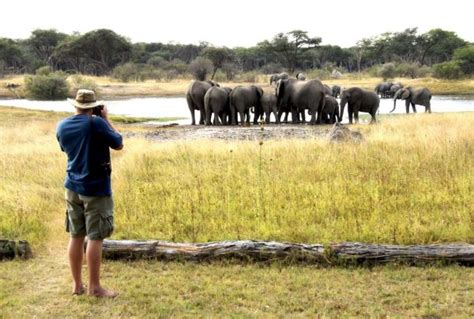 East Africa Vs Southern Africa Safari Choosing The Right Destination