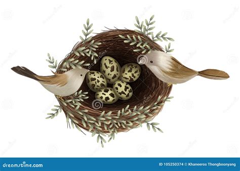 Hand Painted Of Bird Sitting On Nest With Eggs And Branch Isolated On